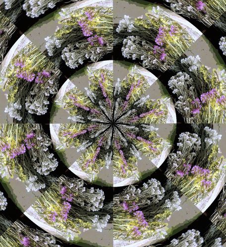Flower Essences.