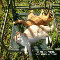 Women%92s Day Cats!
