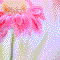 Happy Women%92s Day.