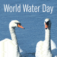 Happy World Water Day.