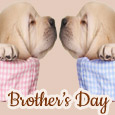 Warm Wishes For Brother’s Day!