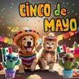 Let The Fiesta Begin On May 5th.
