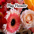 Send May Flowers Ecard!