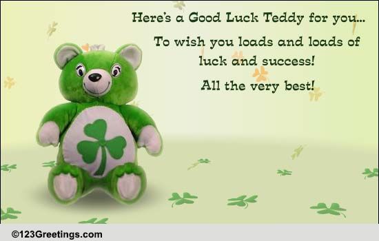 good luck teddy