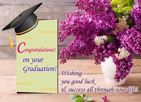 Congratulations To You! Free Congratulations Ecards, Greeting Cards 