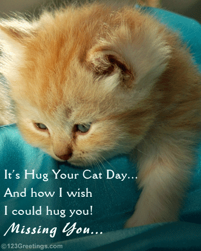 A 'miss you' card on Hug Your Cat Day.