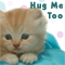 A Cuddly Wish On Hug Your Cat...