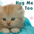 A Cuddly Wish On Hug Your Cat Day.