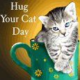 Warm Hug For Your Cat...