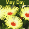 A Bright May Day!