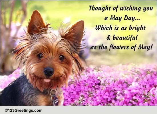 Beautiful May Day... Free May Day eCards, Greeting Cards | 123 Greetings