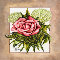 Pink Rose.