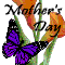 Flowers And Butterflies.