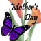 Flowers And Butterflies.