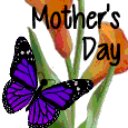 Butterflies And Flowers.