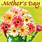 Mother's Day: Friends
