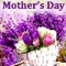 Special Mother%92s Day Wishes!