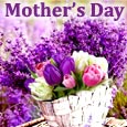 Special Mother’s Day Wishes!