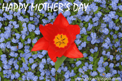 A Beautiful Wish For Mother’s Day.