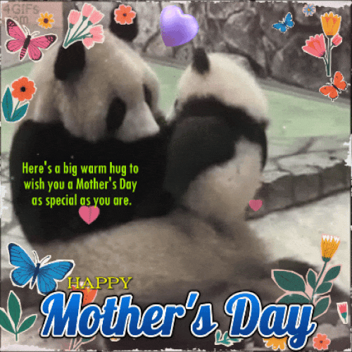 A Happy Mother Panda.