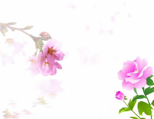 Mom, You Are An Angel...