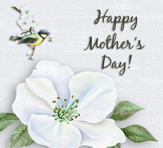 Happy Motherâ€™s Day Bird And Blooms. 