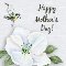 Happy Mother%92s Day Bird And Blooms.