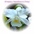 A Happy Mother&rsquo;s Day.