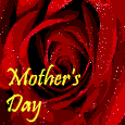 To My Wonderful Mom.