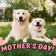 Have A Relaxing Mother’s Day!