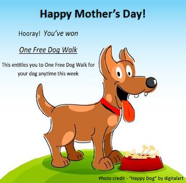 Free Dog Walk!