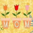 For The Special Mom To Be!