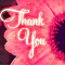 Heartwarming Thank You.