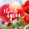 Thanks Dear!