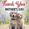 Adorable Thank You On Mother’s Day.