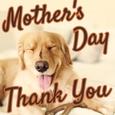 Simple Thank You Ecard On Mother’s Day.