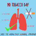 No Tobacco  Day, Lungs.