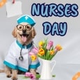 Warm Wishes On Nurses Day