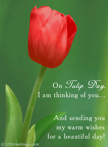 Warm Wishes On Tulip Day.