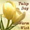Warm Wish On Tulip Day.