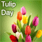 A Bunch Of Tulips On Tulip Day.