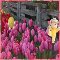 Tiptoe Through The Tulips.