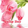 Lots Of Love On Tulip Day!