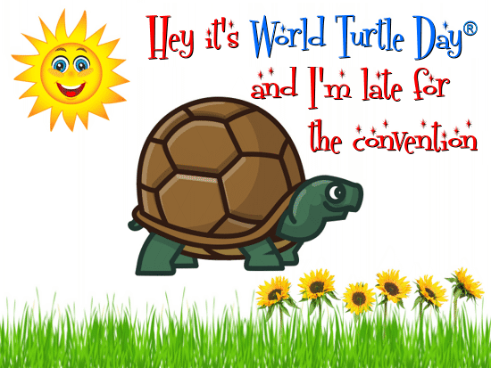 A Nice World Turtle Day® Card.