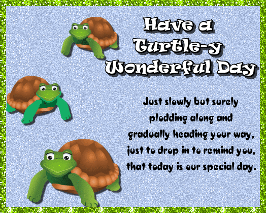 Turtle-y Wonderful Day.