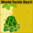 Happy World Turtle Day®!