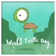 Happy World Turtle Day® To You!