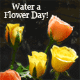 Water a Flower Day