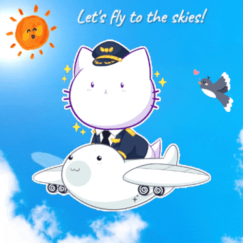 Let’s Fly To The Skies!