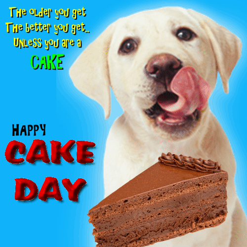 A Funny Cake Day Message For You. Free Cake Day eCards, Greeting Cards | 123  Greetings